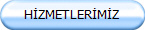 HZMETLERMZ